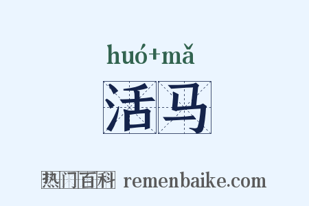 活马是什么意思的图片
